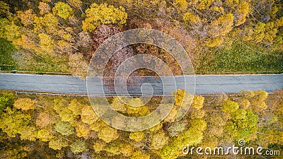 Overhead aerial top view over straight road in colorful countryside autumn forest.Fall orange,green,yellow,red tree Stock Photo