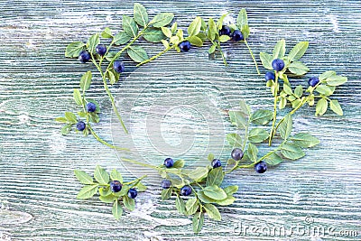 An overhead colored photo of wreath of blueberries with green leaves. Fresh ripe juicy bilberries, bright autumn colorful backgrou Stock Photo