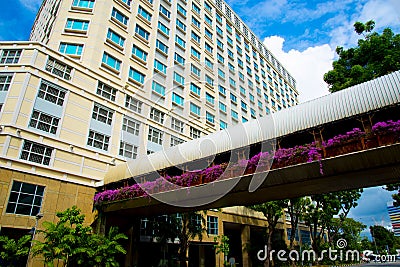 Overhead Pedestrian Bridge Stock Photo