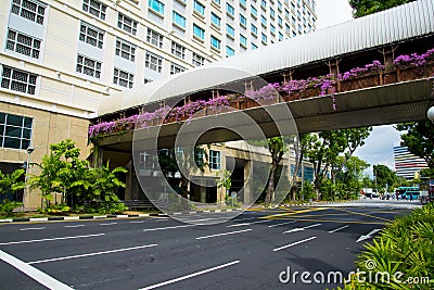 Overhead Pedestrian Bridge Stock Photo