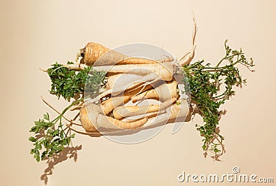 Overhead view of bunch of parsnip roots on light surface Stock Photo
