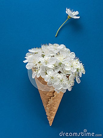 Overhead view to white cherry flowers into waffle cone with flying petals in vertical frame Stock Photo