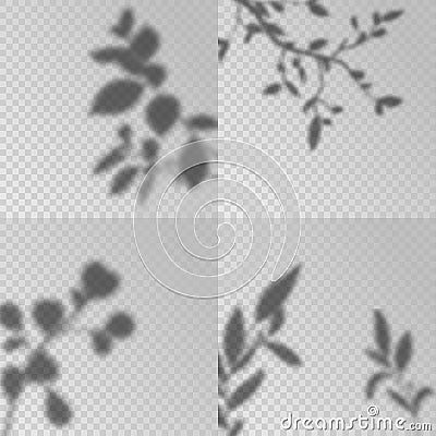 Overlay shadows. Transparent soft light, shadow leaves and plant branches natural lightning, decorative design elements Vector Illustration