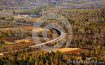 Overlook of a Train Travelling in the Immense Forest Stock Photo