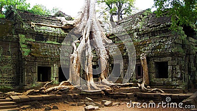 Ta Prohm Temple Siem Reap Cambodia- Ancient Angkor Stock Photo