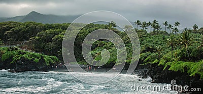 Overview of Honokalani Black Sand Beach Road to Hana, Maui Stock Photo