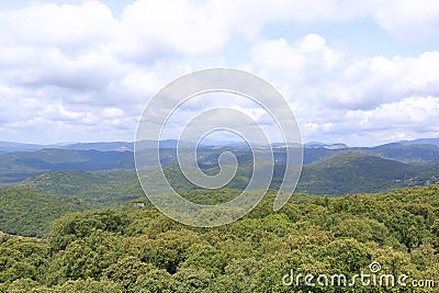 Overview of the National Park of Barbagia with limestone rocks and green forest hill, mountain. Central Sardinia, Italy, summer Stock Photo