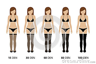 Overview of the opacity of thigh high stockings Vector Illustration