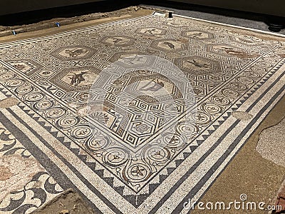 Overview of the Venatio Mosaic, Vallon Museum, Vaud Switzerland Editorial Stock Photo