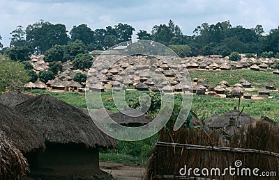 An overview of village huts, Uganda Editorial Stock Photo