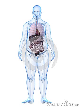 Overweight man - organs Cartoon Illustration