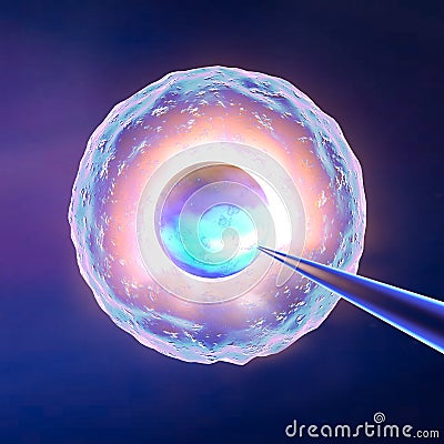 Ovum artificial insemination Stock Photo