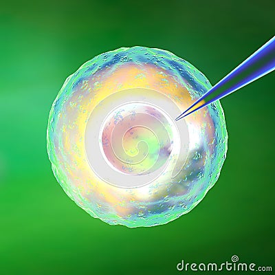Ovum artificial insemination Stock Photo