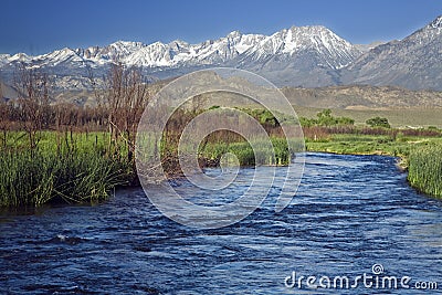 Owens River Sierra Stock Photo