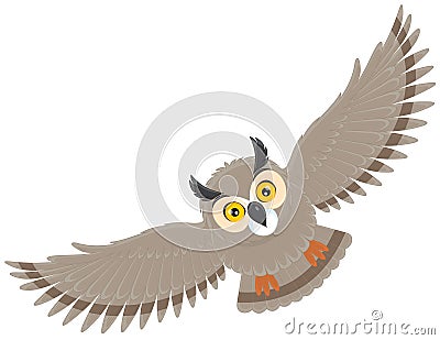 Owl Vector Illustration