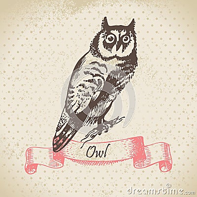 Owl bird, hand-drawn illustration Vector Illustration