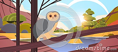 Owl bird sitting on branch australian wild animal wildlife fauna concept landscape background horizontal Vector Illustration