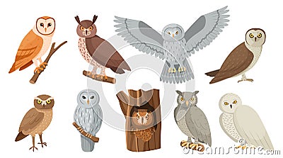 Owl birds. Cute owlet sitting on tree branch, hide in hollow and flying night bird isolated vector set Vector Illustration