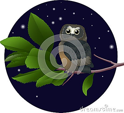 Owl on a branch Vector Illustration