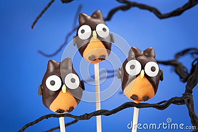 Owl cake pops Stock Photo