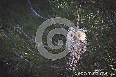 Owl christmas toy Stock Photo