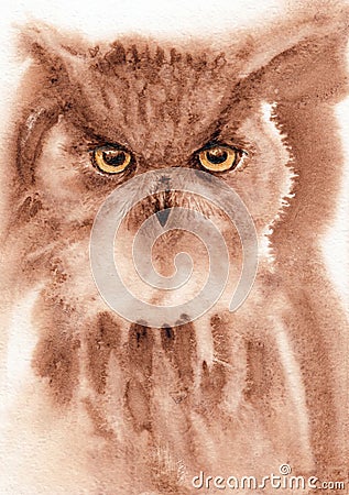 Owl closeup artwork portrait. Coffee and watercolor hand drawn on watercolour paper texture Stock Photo