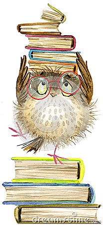 Owl. cute owl. watercolor forest bird. school books illustration. cartoon bird Cartoon Illustration