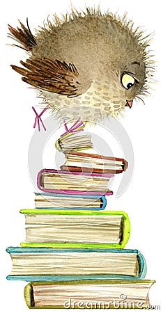 Owl. cute owl. watercolor forest bird. school illustration. cartoon bird Cartoon Illustration