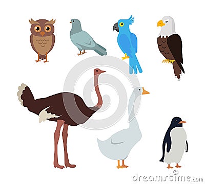 Owl Dove Blue Parrot Eagle Ostrich Goose Penguin Vector Illustration