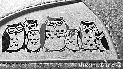 Owl family Editorial Stock Photo