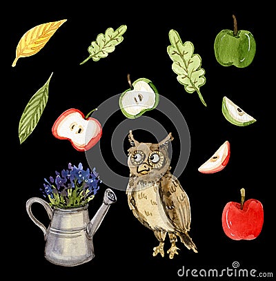 Owl and flowers, apples and leaves Cartoon Illustration