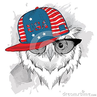 Owl in the glasses, headphones and hip-hop hat with print of USA. Vector illustration. Vector Illustration