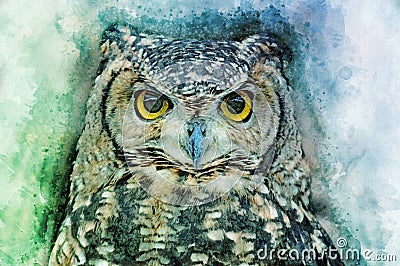 Owl head - painted with watercolor. Bird illustration. Cartoon Illustration