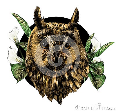 Owl head full face in circle decorated with Calla flowers and leaves Vector Illustration