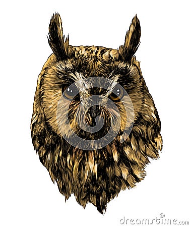 Owl head full face Vector Illustration