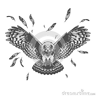 Owl illustration Cartoon Illustration