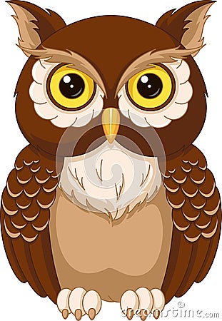 Owl Vector Illustration