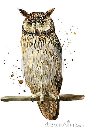 Owl on an isolated white background, watercolor illustration. Eagle owl Cartoon Illustration