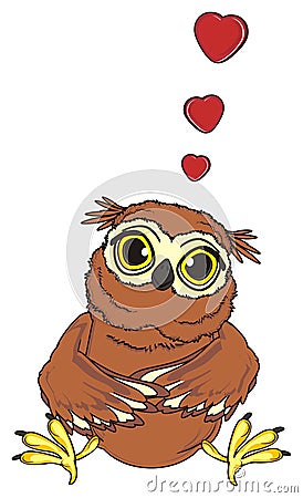 Owl in love Stock Photo