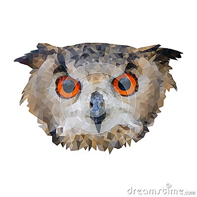 Owl Cartoon Illustration