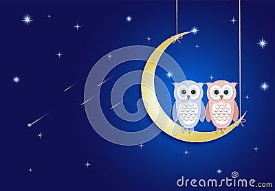 Owl and moon at night sky with comet and star background Vector Illustration