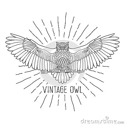 Owl outline emblem in hipster style with arrow Vector Illustration