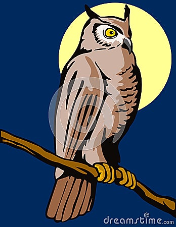 Owl perched on a branch Stock Photo