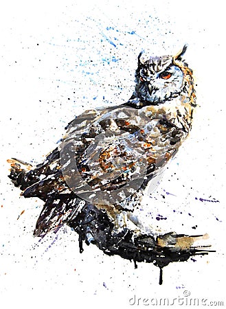 Owl predator watercolor painting drawing Stock Photo