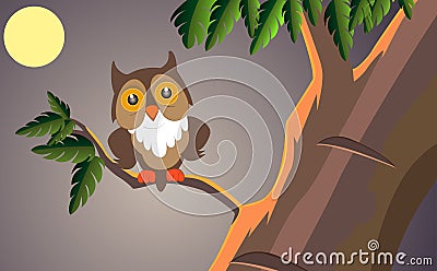 Owl at night Vector Illustration