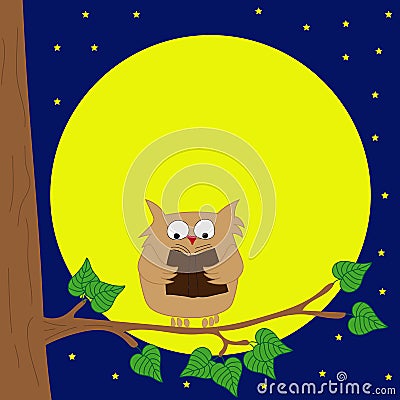 Owl sitting on a branch reading book by moonlight. Vector Illustration