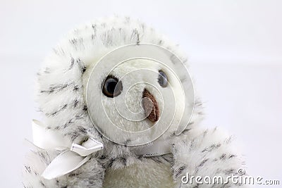 Owl Stuffed Animal Stock Photo