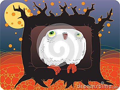 Owl in a tree hollow Stock Photo