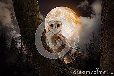Owl on tree in misty forest under full moon at night Stock Photo