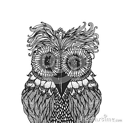 Owl Vector Illustration